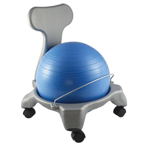 Fit Ball Chair 